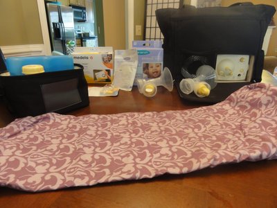 Lansinoh Storage Bags on Medela  Pump Instyle Advanced  Breast Pump  Etc    Baby   Kids For